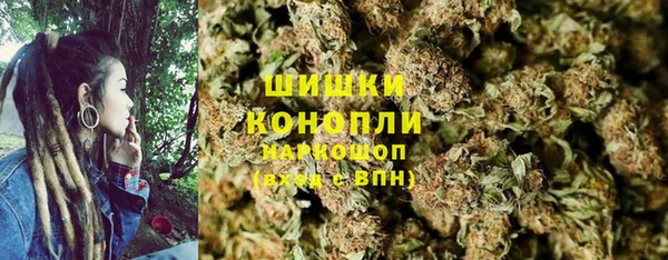 дмт Богородск
