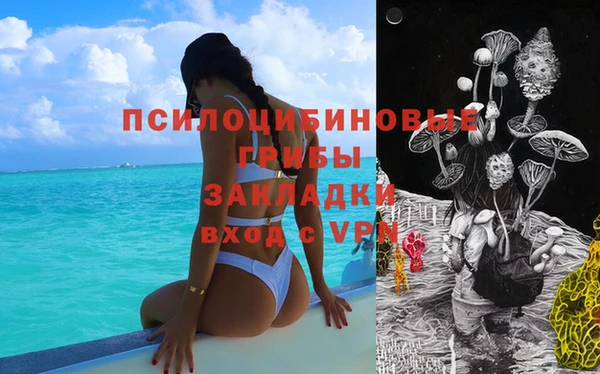 героин Богданович