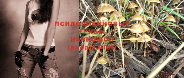 apvp Белоозёрский