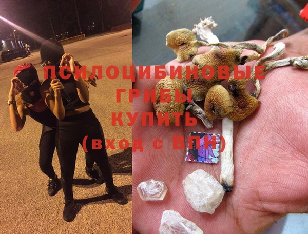 дмт Богородск