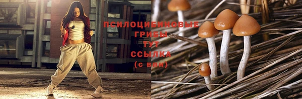 а пвп мука Богородицк
